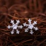 Bộ trang sức bạc Amazing Snowflake 3
