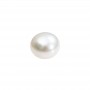 Viên ngọc trai Pearl A1BT4550 4