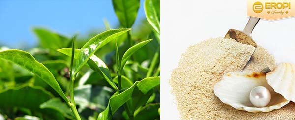 sự kết hợp giữa bột ngọc trai và trà xanh