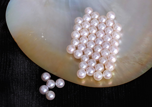 B&ocirc;ng tai v&agrave;ng 18k ngọc trai biển Akoya 7,5-10mm Daisy