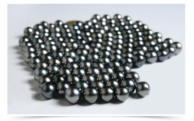 B&ocirc;ng tai v&agrave;ng 18K