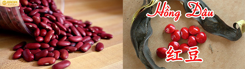Đậu đỏ - Việt Nam ( trái ) và Hồng đậu - Trung Quốc ( phải ).