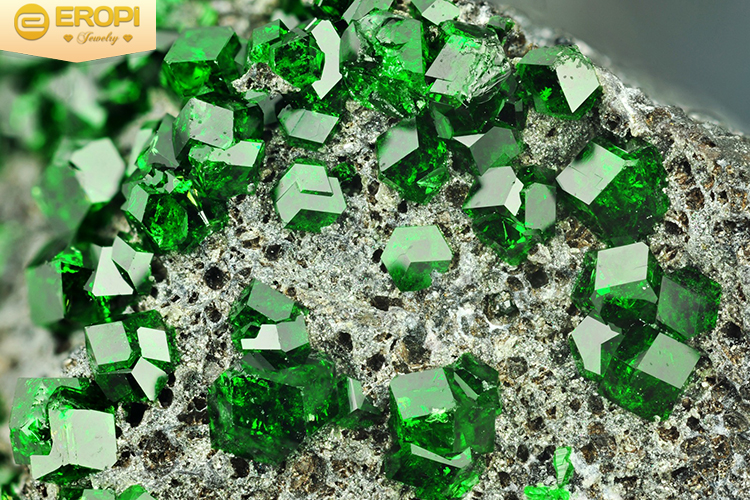 T&ocirc;n vinh vẻ đẹp Việt